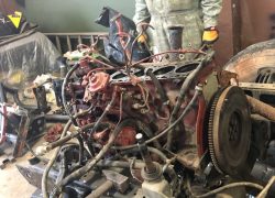 Iveco WM90 revisione motore