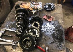 Iveco WM90 revisione cambio